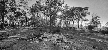 Flare, Gravel, Ground, Grove, Land, Road, Soil, Tree, Vegetation, Woodland
